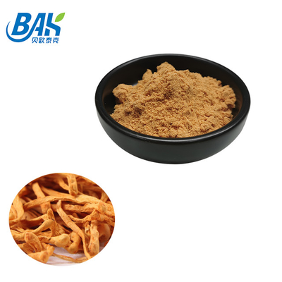80 sampai 120 Mesh Cordyceps Militaris ekstrak bubuk pabrik pasokan