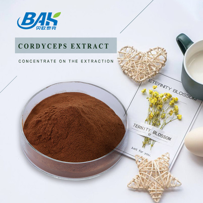 Cordycepin 5% 10% 20% Suplemen Kesehatan Pria Cordyceps Extract Brown Powder