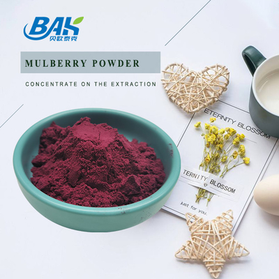 Morus Alba L Mulberry Buah Ungu Bubuk