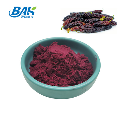 Morus Alba L Mulberry Buah Ungu Bubuk
