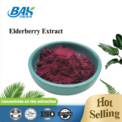 5% Anthocyanin Extract Supplement Ungu Merah Elderberry Extract Powder