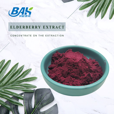 5% Anthocyanin Extract Supplement Ungu Merah Elderberry Extract Powder