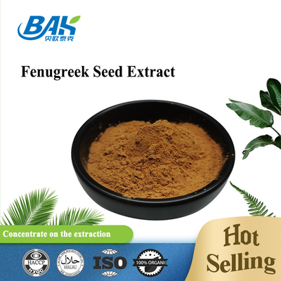 Bubuk Ekstrak Biji Saponin Fenugreek