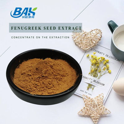 Bubuk Ekstrak Biji Saponin Fenugreek
