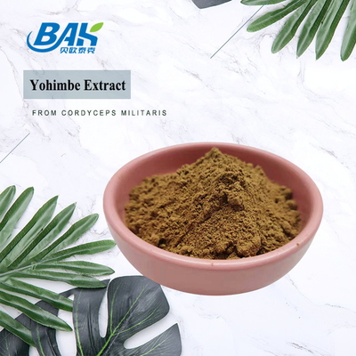 5% -98% Ekstrak Yohimbe 100% Lulus 80 Mesh Corynanthe Yohimbe L Bubuk Kuning Coklat