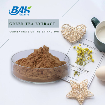 Polyphenol 10% - 98% Green Tea Extract Powder Cas 84650-60-2