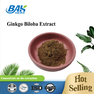 Ekstrak Ginkgo Biloba Flavon Glikosida 24% Terpen Lactories 6%