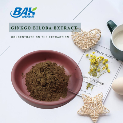 Ekstrak Ginkgo Biloba Flavon Glycosides 24% Dan Terpene Lactones 6%