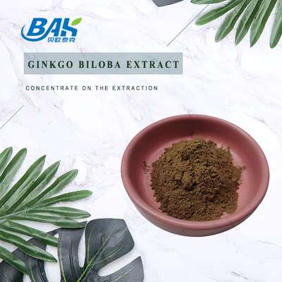 Ekstrak Ginkgo Biloba Flavon Glikosida 24% Terpen Lactories 6%