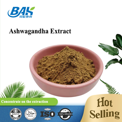 1% - 5% Withanolide Mens Suplemen Kesehatan Ekstrak Ashwagandha