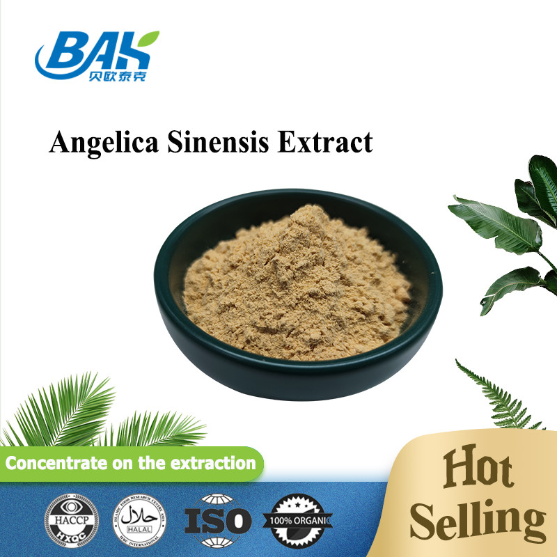 Pabrik Profesional Cina Dang Gui Angelica Sinensis Dong Quai Root Extract Powder Angelica Dahurica Extract