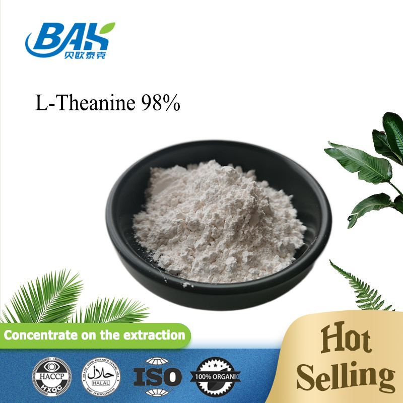 3081-61-6 Ekstrak Teh Hijau Bubuk Theanine 98% Ekstrak Herbal Alami Untuk Diet Sehat