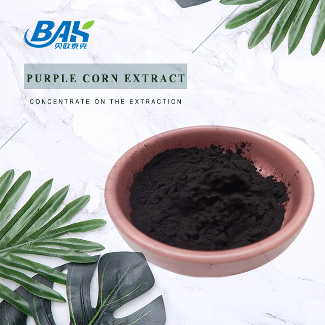 BAK Factory Grosir Antosianin 35% Zea Mays Ungu Ekstrak Jagung Ungu Hitam Bubuk