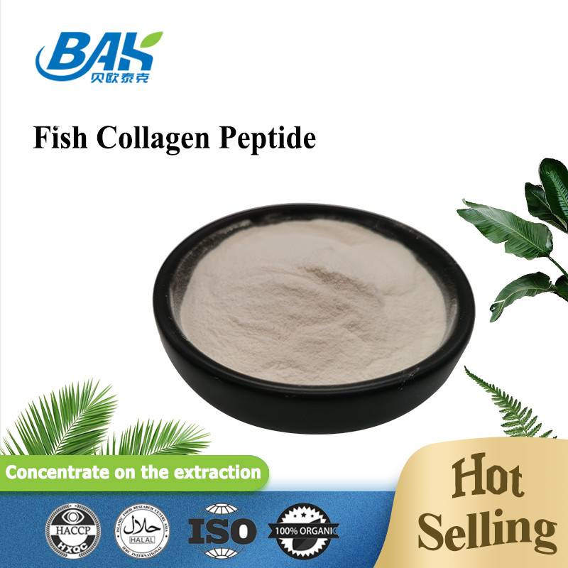 Sisik Kulit Ikan Kolagen Peptida Kuning Muda Sampai Bubuk Coklat 100 80 40 Mesh