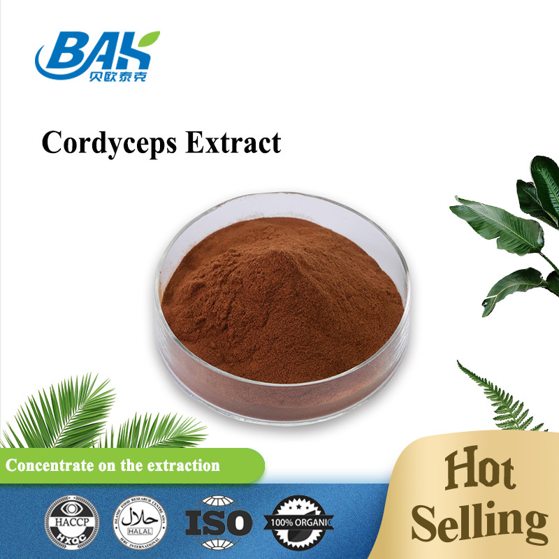Cordycepin 5% 10% 20% Suplemen Kesehatan Pria Cordyceps Extract Brown Powder