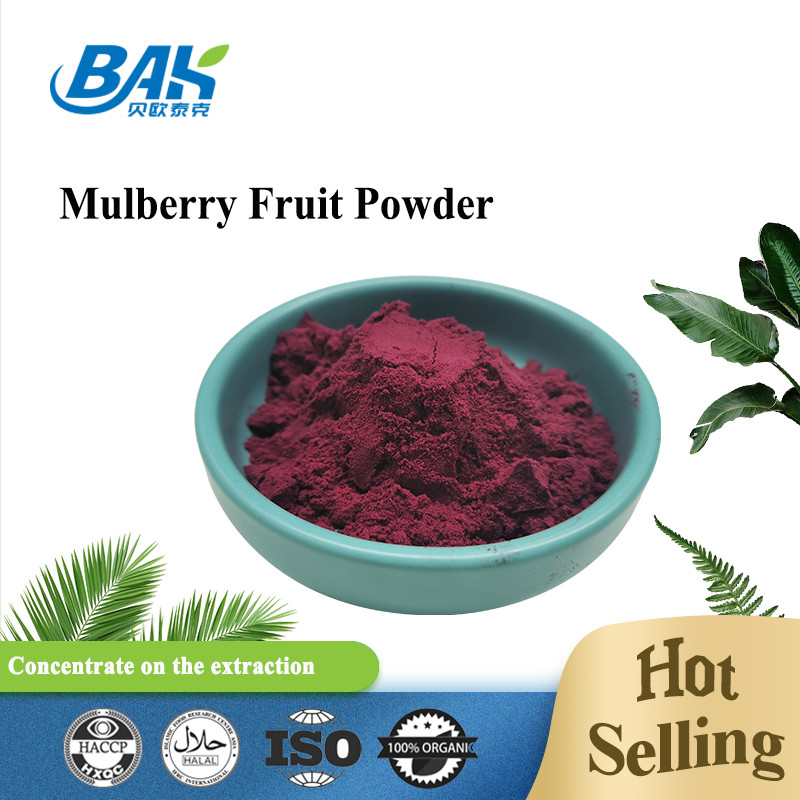 Biologi Morus Alba L Mulberry Buah Ungu Bubuk Tempat penyimpanan dingin dan kering
